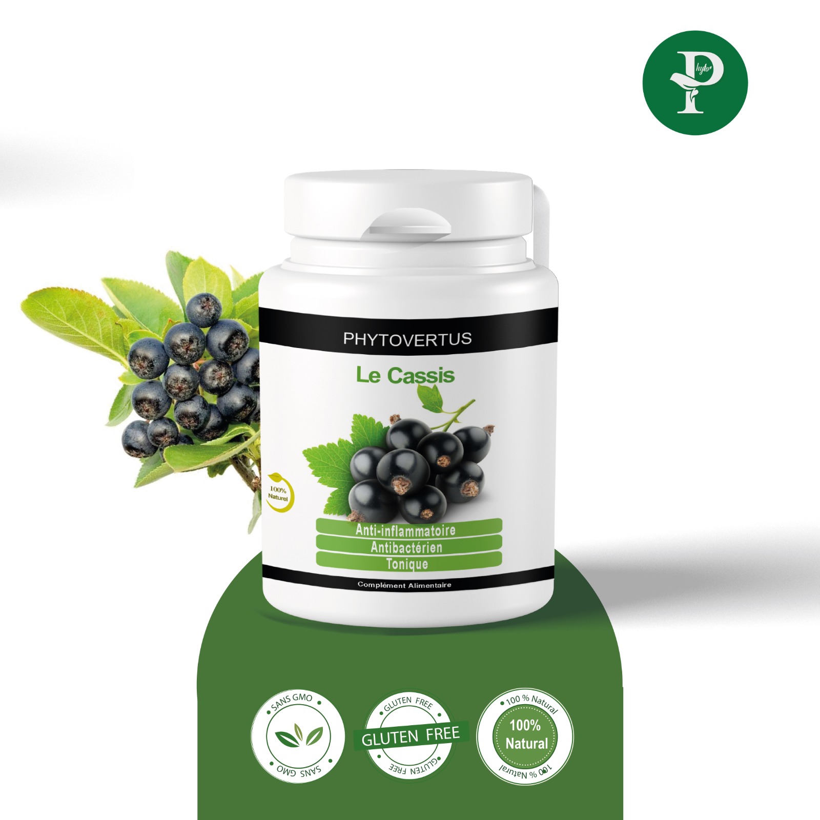 cassis tunisie, prix Cassis tunisie, Cassis en Tunisie, complement alimentaire Cassis en tunisie, Cassis, complement alimentaire Cassis en tunisie,Phytoplantis